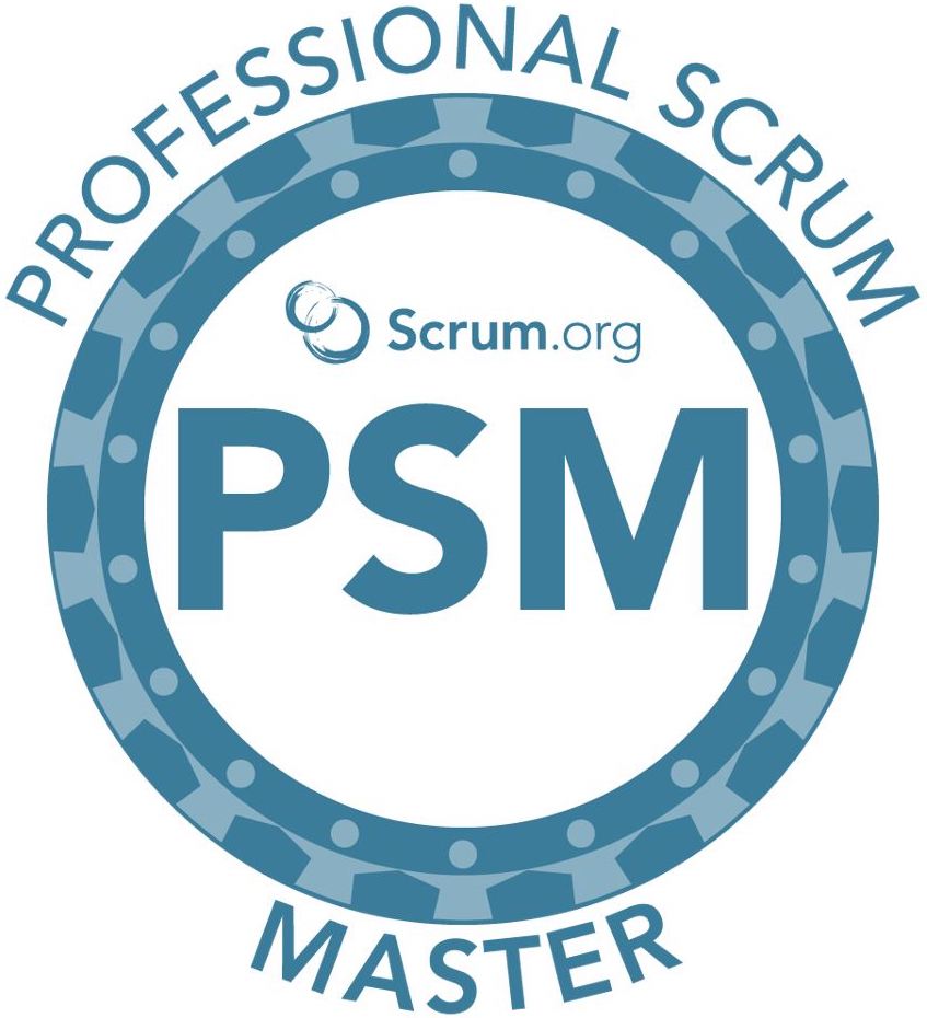 Professional Scrum Master
